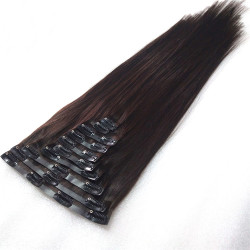 Black Silky Straight Brazilian Virgin Clip in Human Hair Extension Black Silky Straight Brazilian Virgin Clip in Human Hair Extension